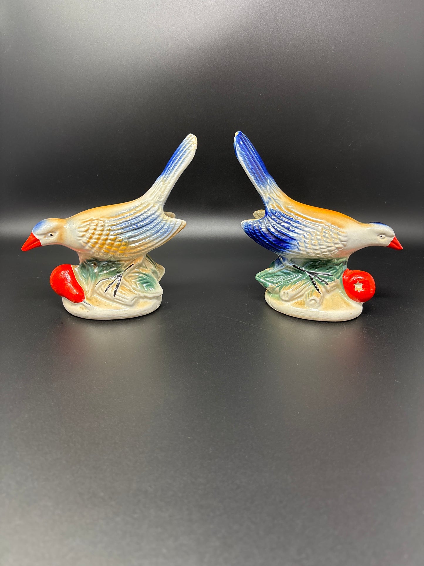 Pair of Porcelain Birds
