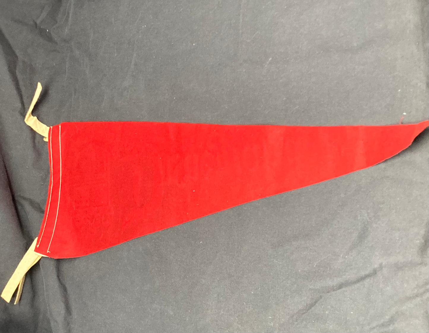 Vintage Disneyland Magic Kingdom Pennant