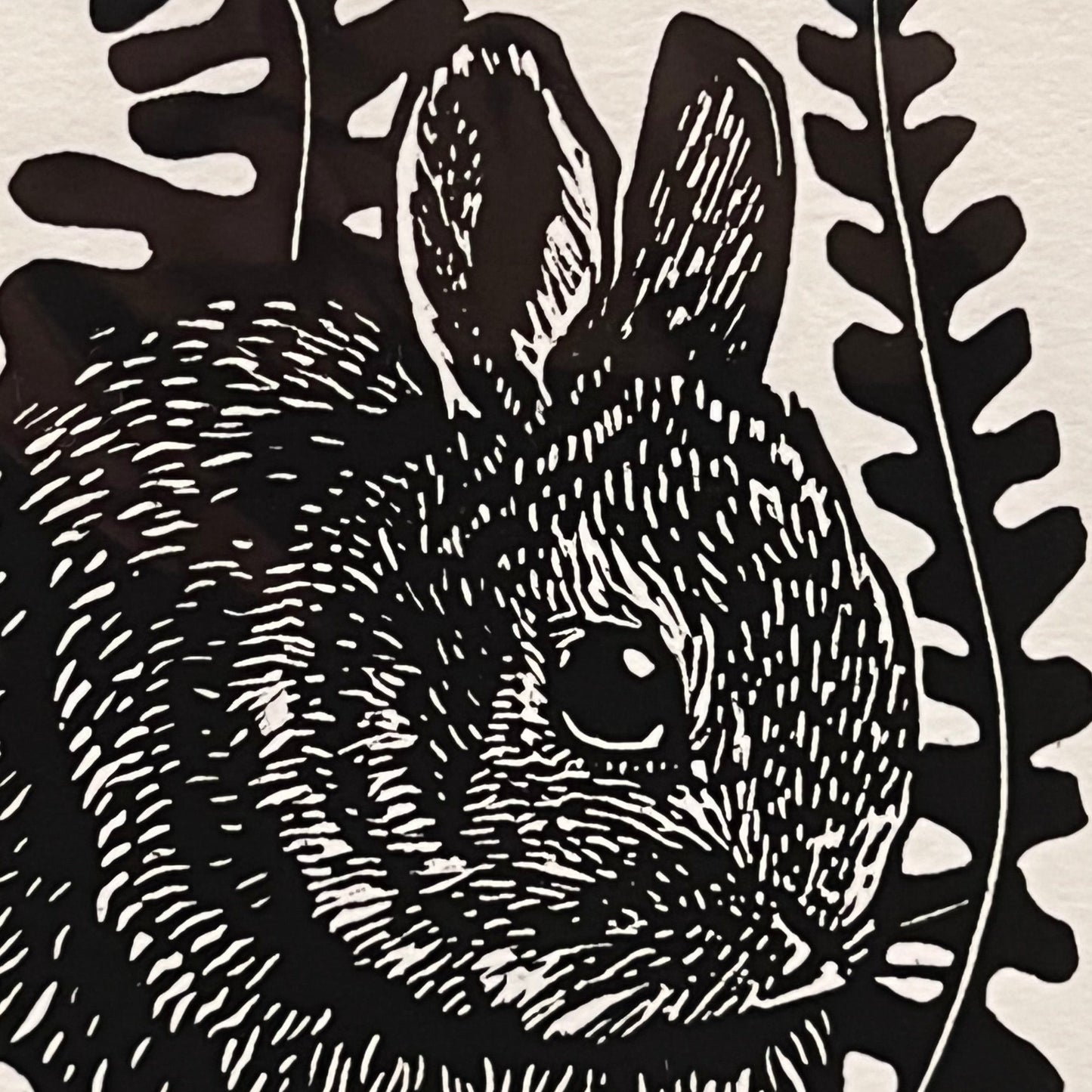 JumpJack Studio 5x7 Print