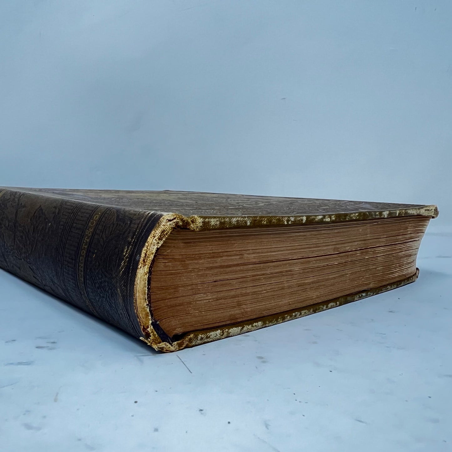 Book, Forty-four Years Of a Hunter’s Life; Browning, Meschach :copyright:1883