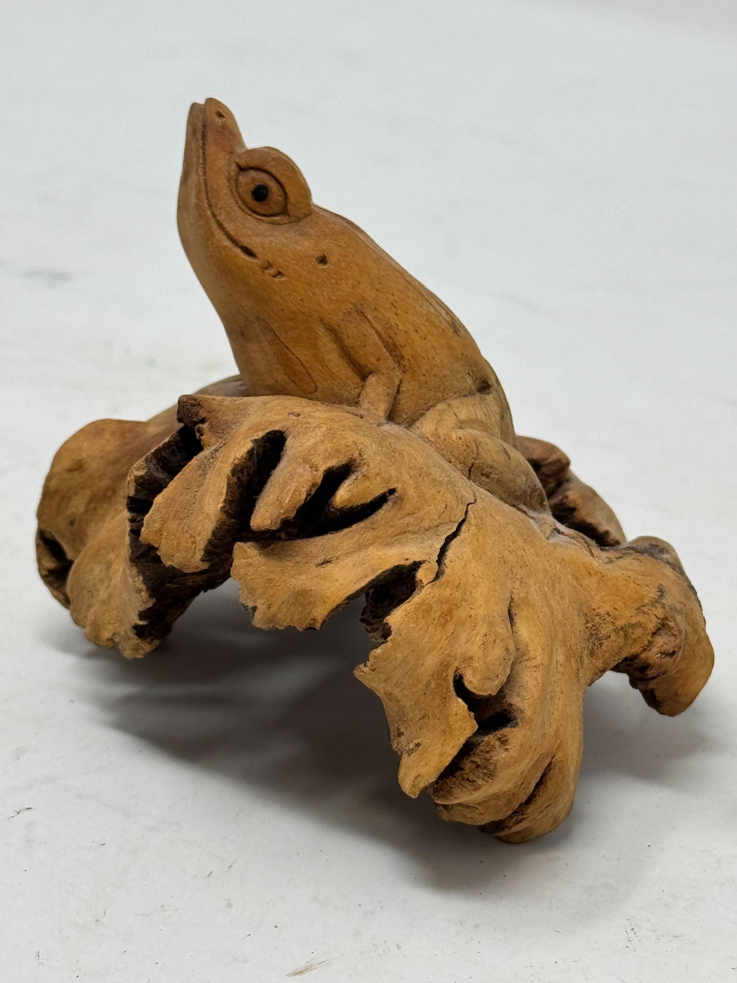 Tree Frog Burl carving