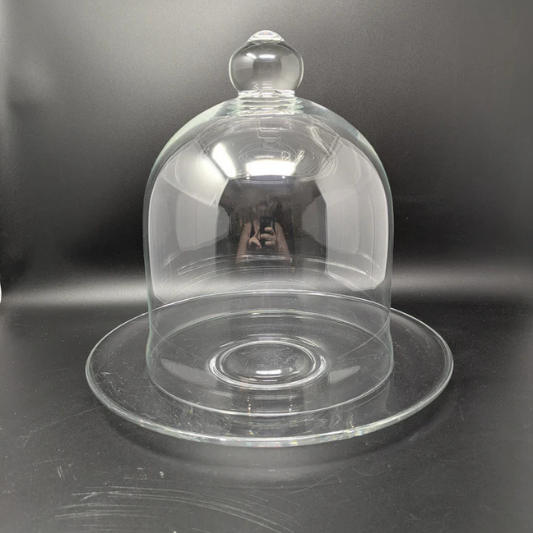 Bell Glass Dome on Glass Plate