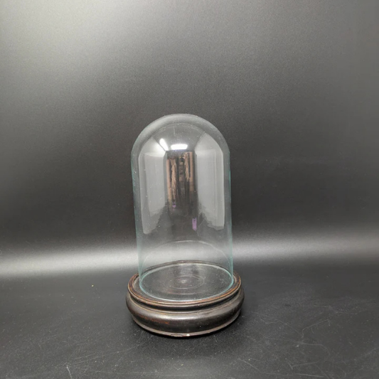 Glass Dome on Dark Wood Stand