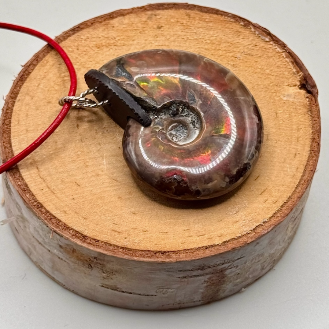 Sarah Wolfenden: Opalized Ammonite Pendent