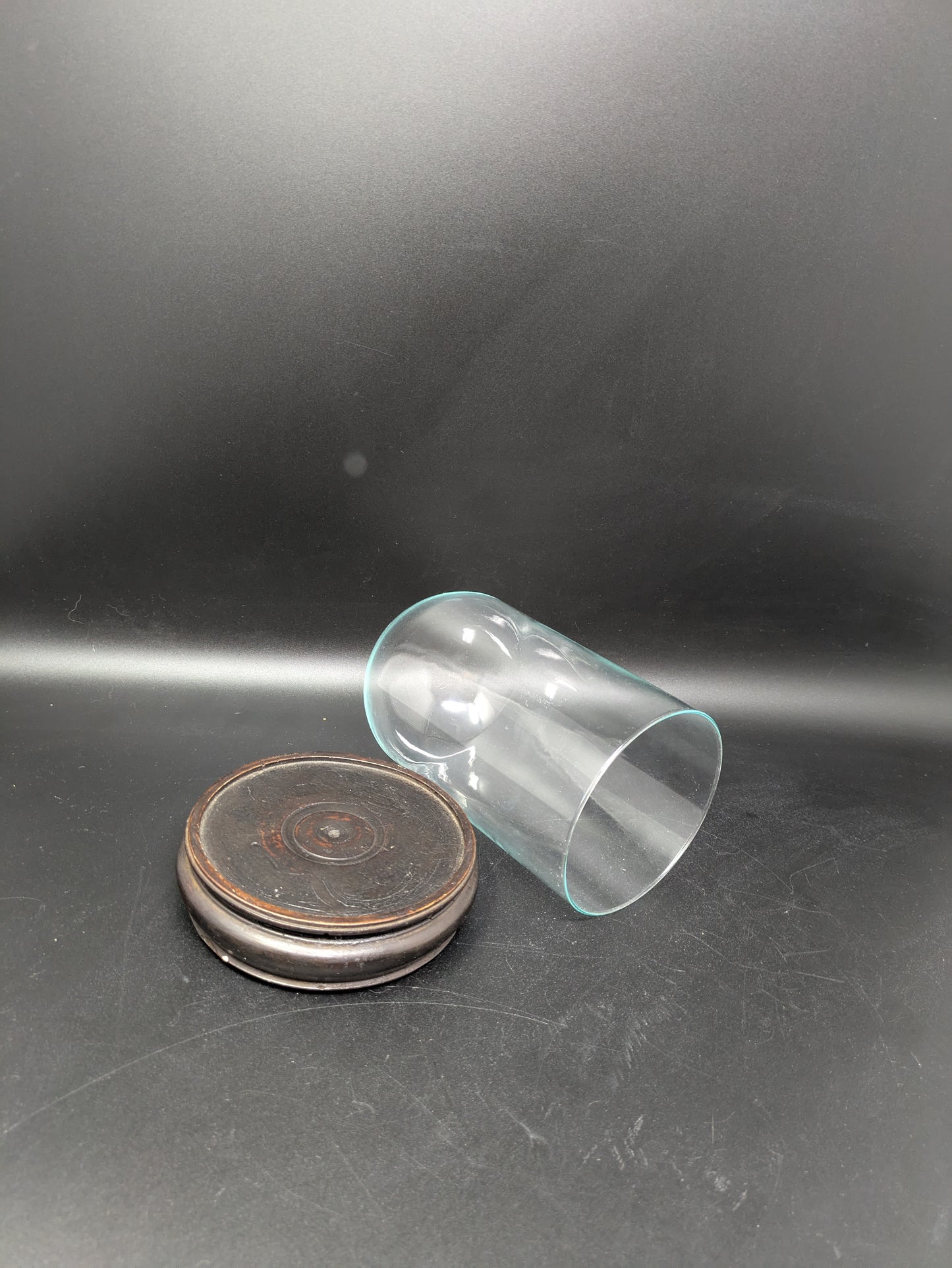 Glass Dome on Dark Wood Stand