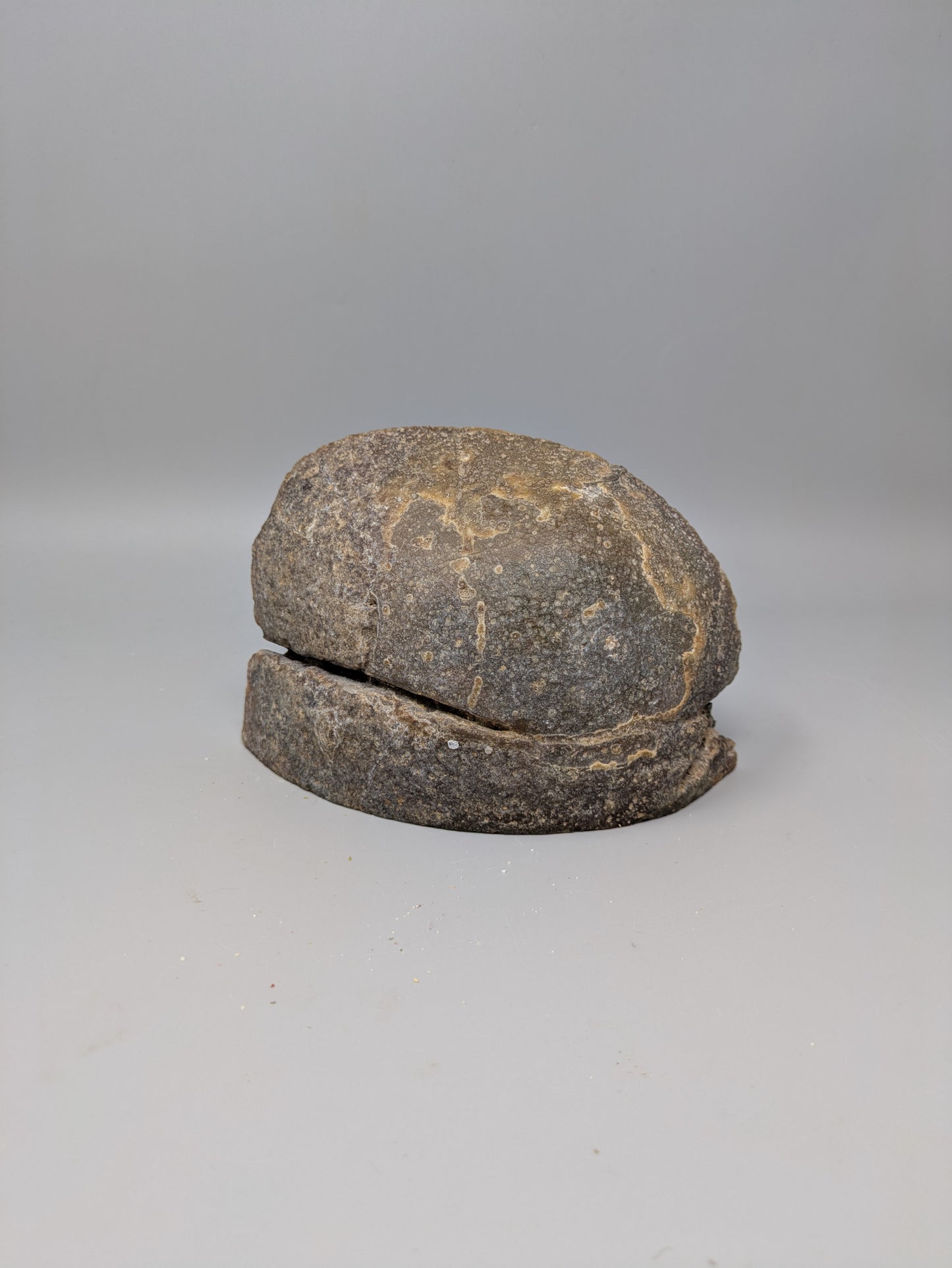 Brown Agate Geode