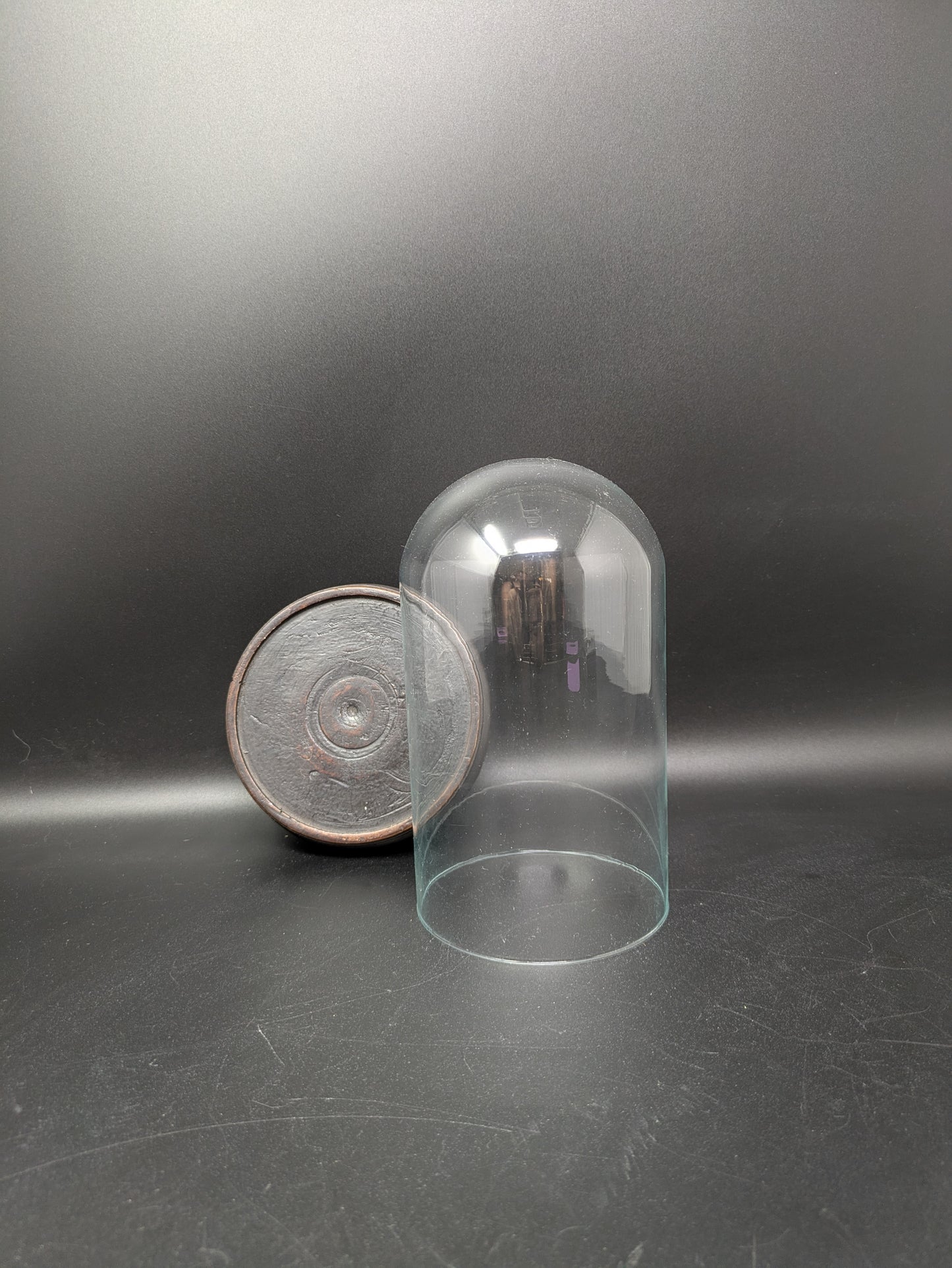 Glass Dome on Dark Wood Stand