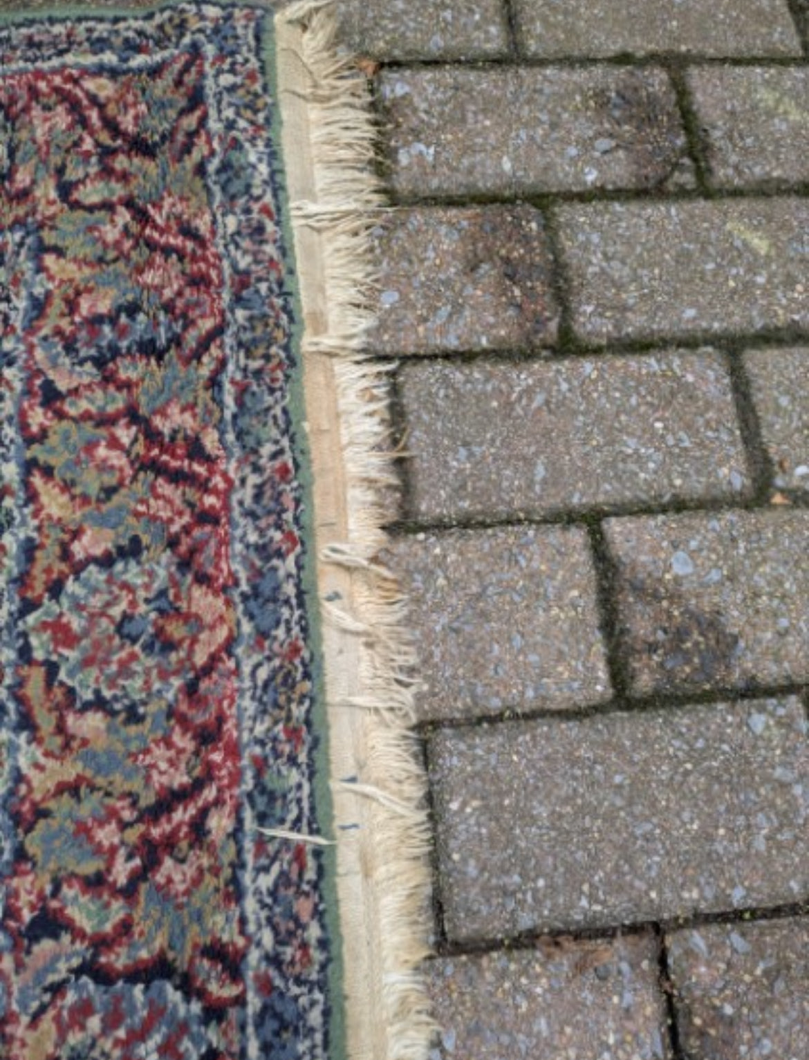 "Willow" Rug