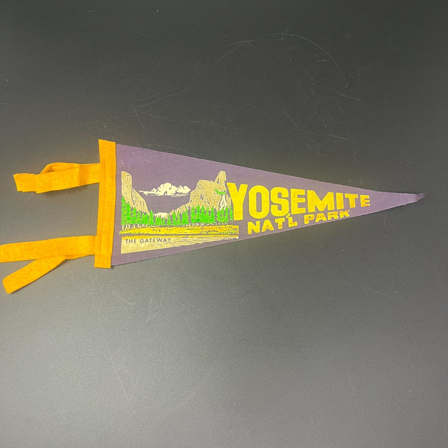 12” Yosemite National Park Pennant Flag
