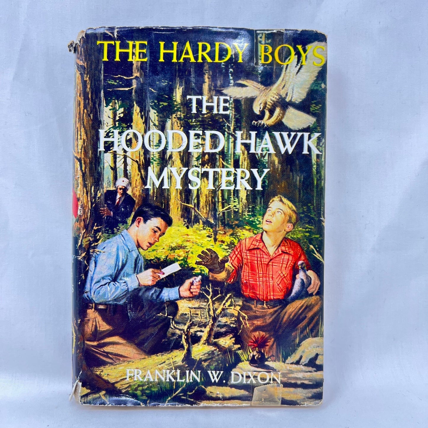 Book: Hardy Boys #34, Dixon, F.