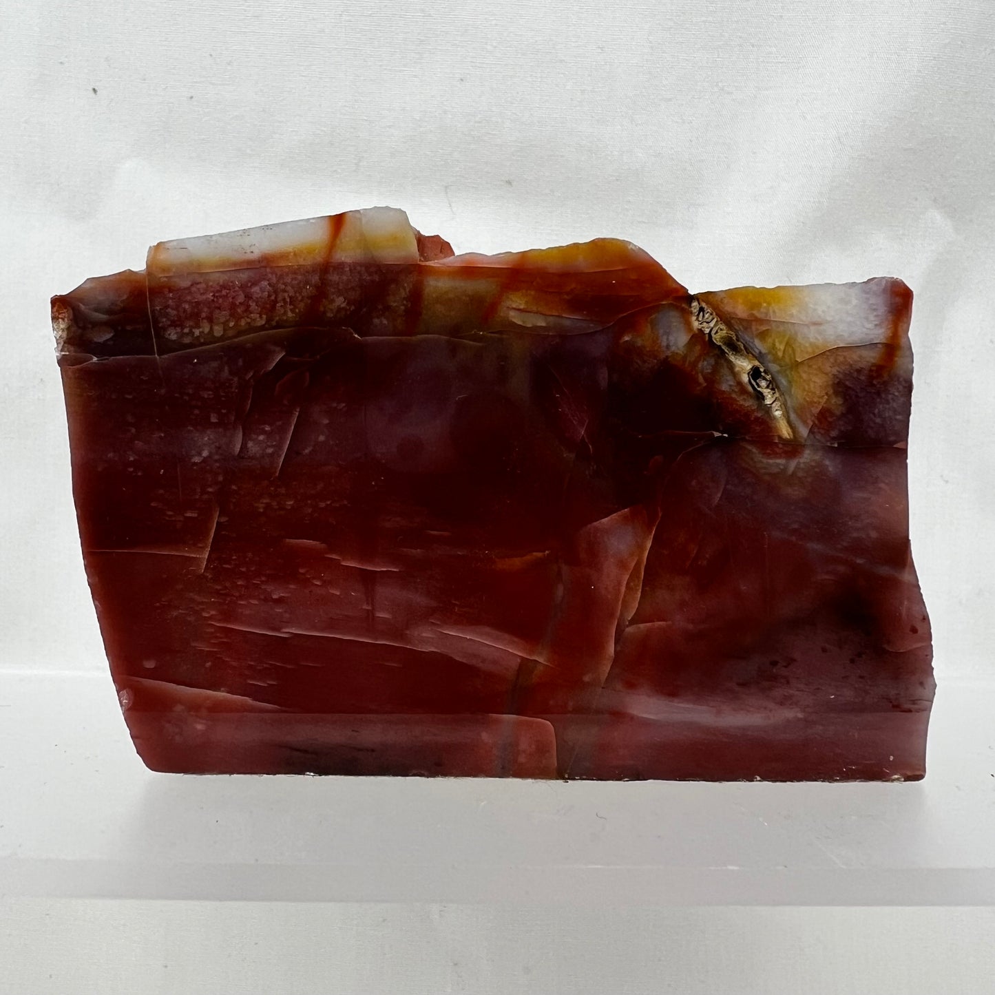 Petrified Wood, Agate