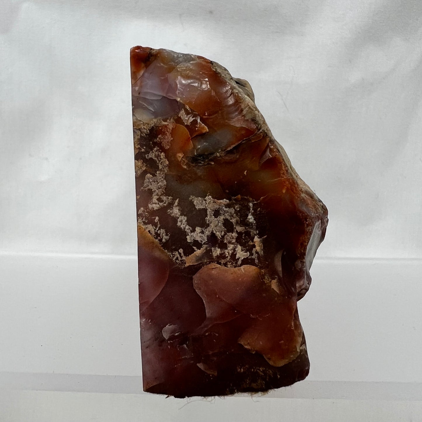 Petrified Wood, Agate