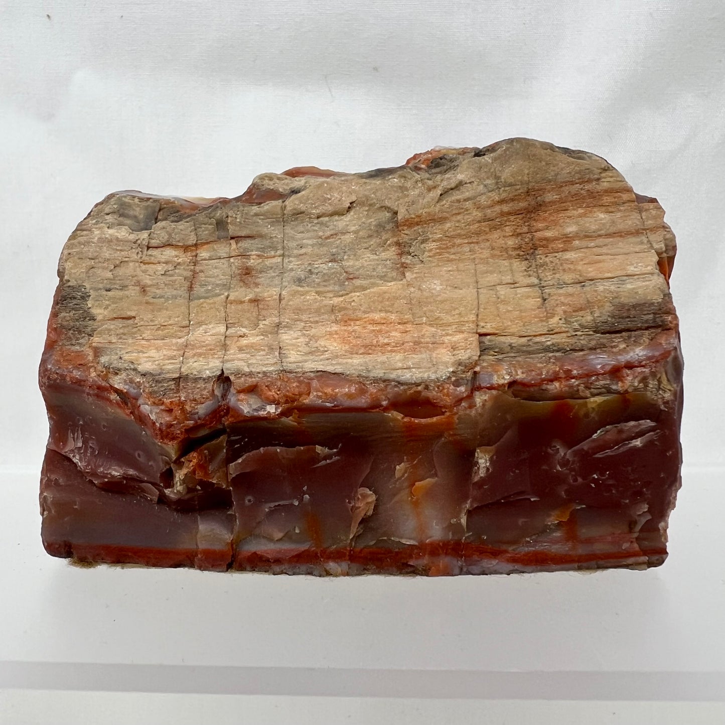 Petrified Wood, Agate