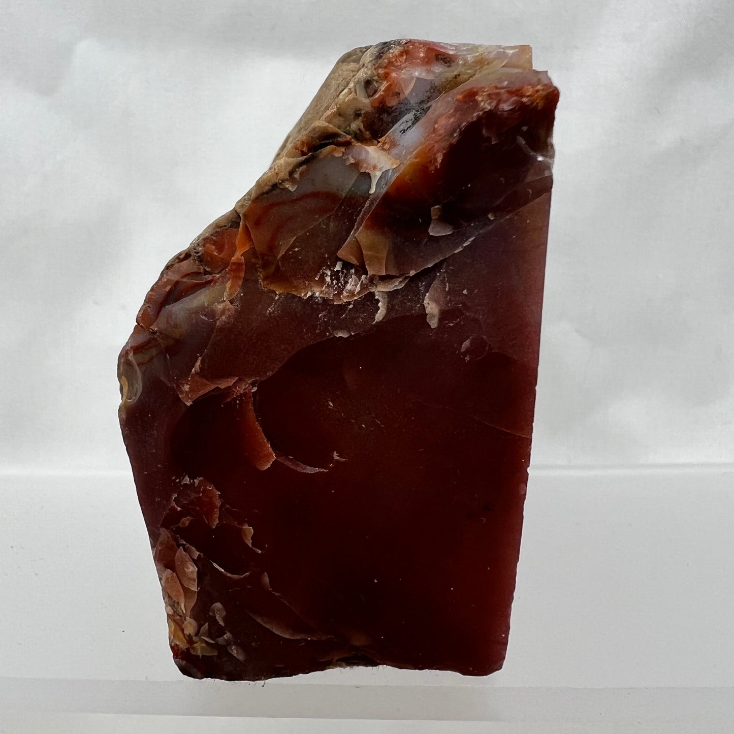 Petrified Wood, Agate