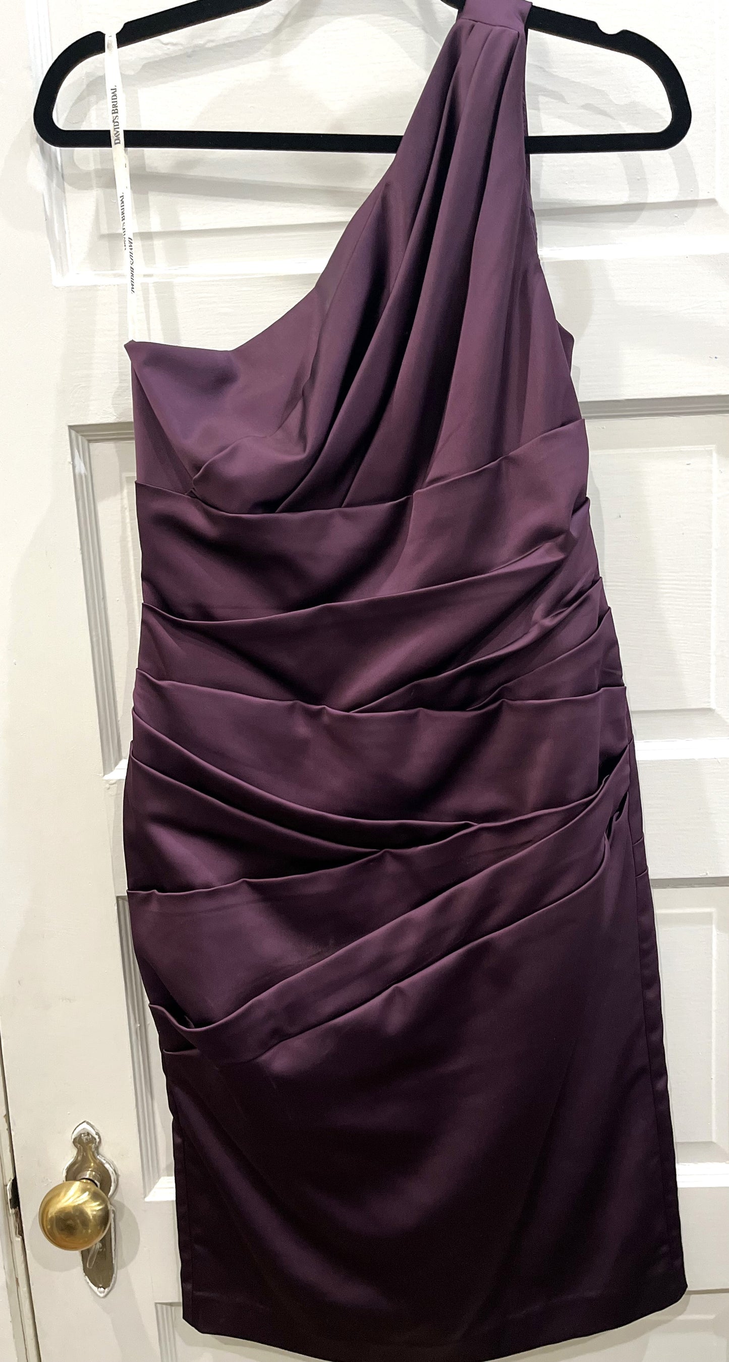 E4- David's Bridal Plum One Shoulder Cocktail Dress