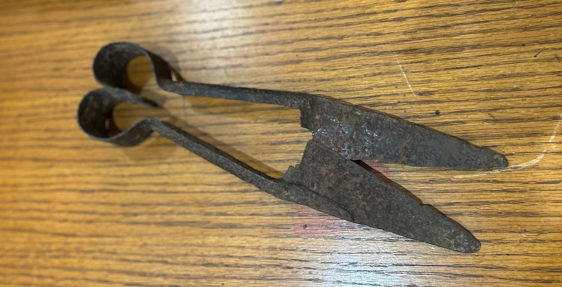 Antique sheep shears - giant scissors, very rusty, cool memorabilia