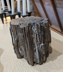  Petrified wood block, natural bark texture