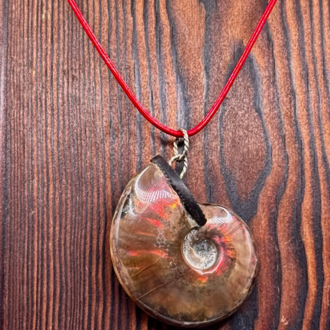 Sarah Wolfenden: Opalized Ammonite Pendent