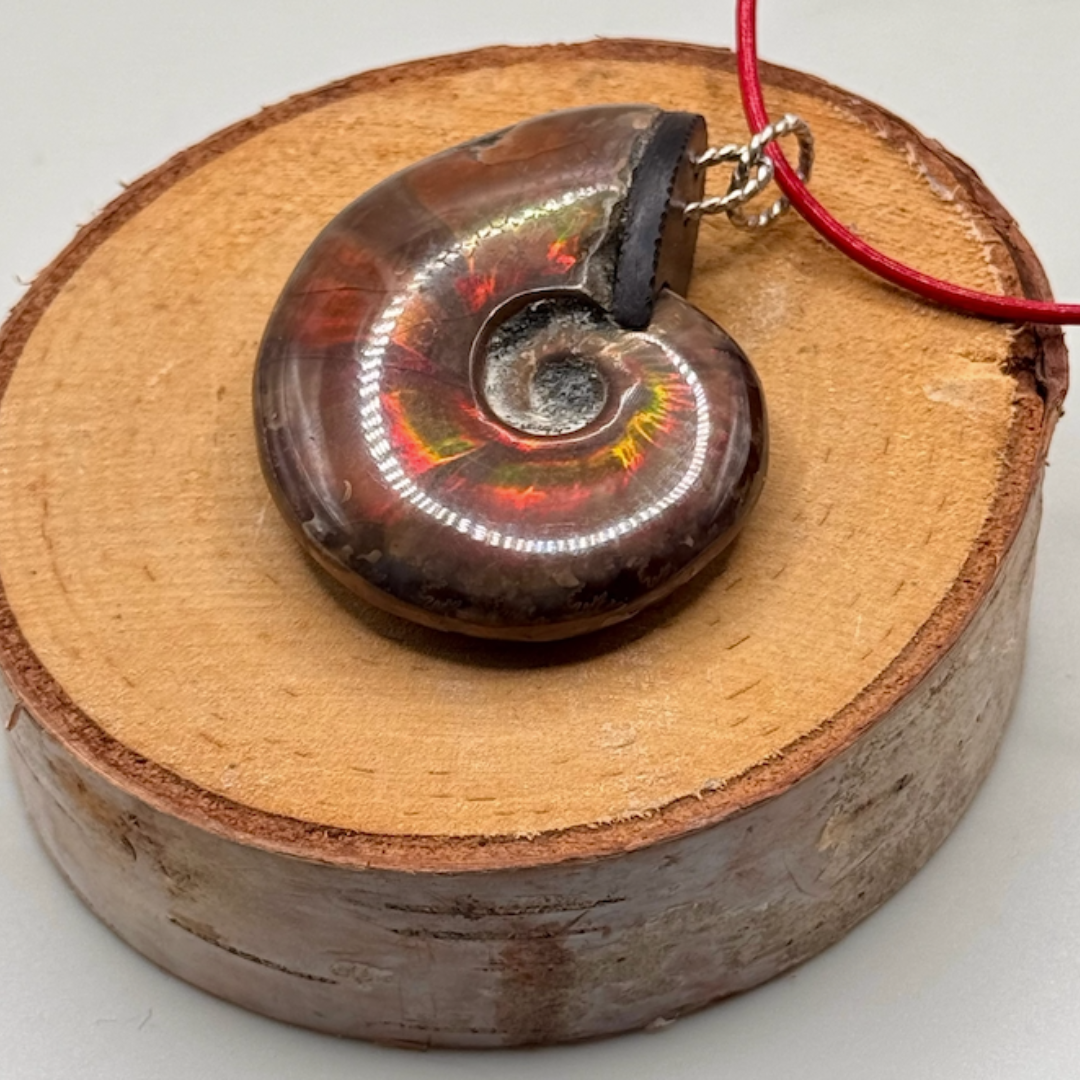 Sarah Wolfenden: Opalized Ammonite Pendent