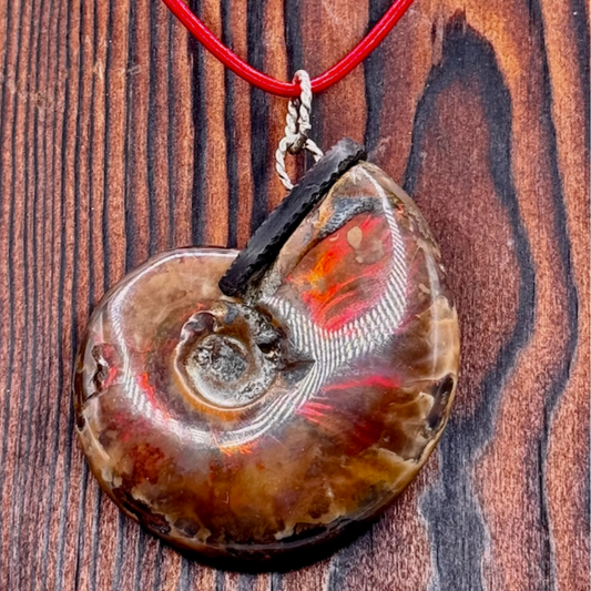 Sarah Wolfenden: Opalized Ammonite Pendent
