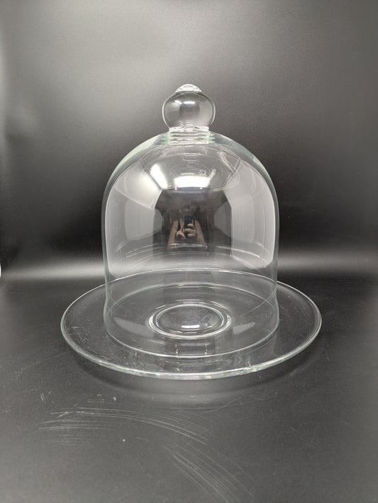 Bell Glass Dome on Glass Plate