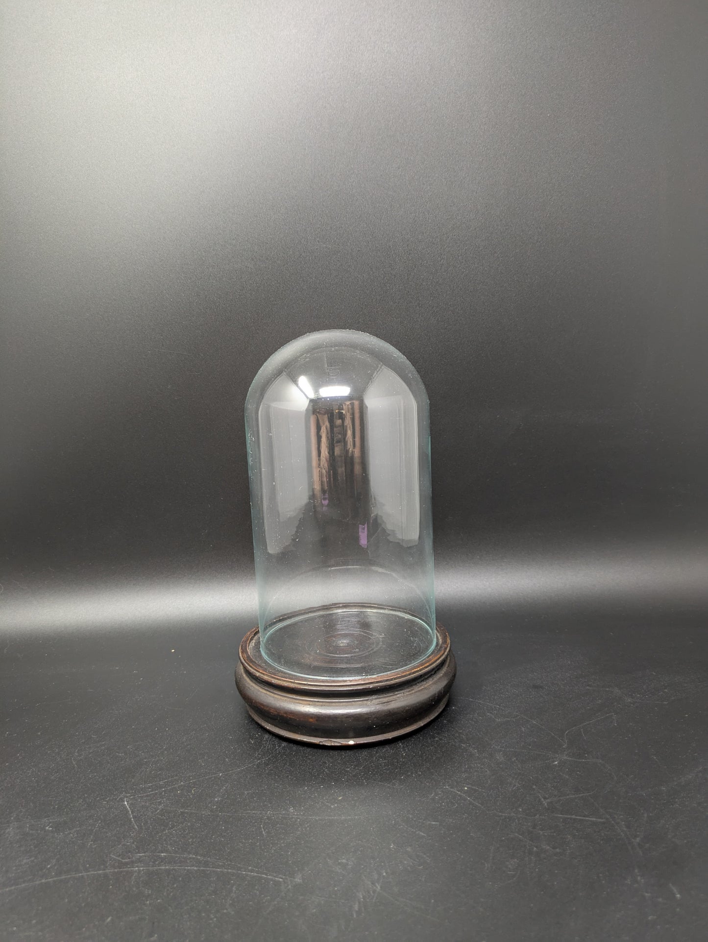Glass Dome on Dark Wood Stand